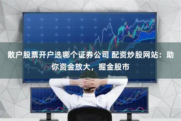 散户股票开户选哪个证券公司 配资炒股网站:助你资金放大,掘金股市