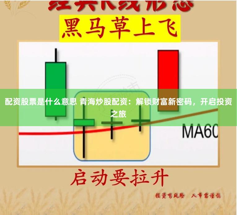 配资股票是什么意思 青海炒股配资：解锁财富新密码，开启投资之旅