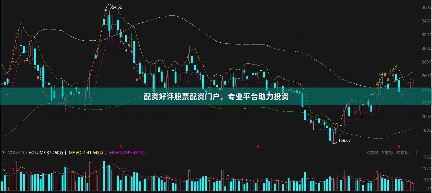 配资好评股票配资门户，专业平台助力投资