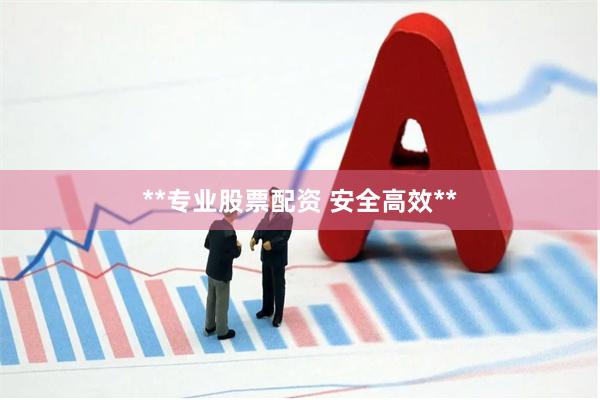 **专业股票配资 安全高效**